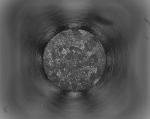 X0000091200375200709061418