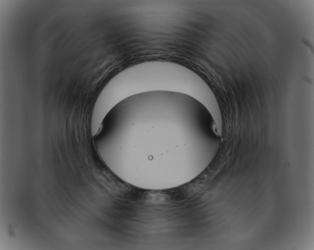 X0000091200376200709061418