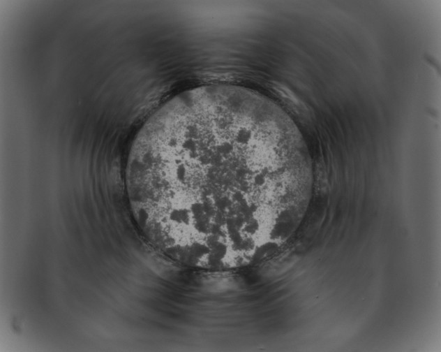 X0000091200377200709061418