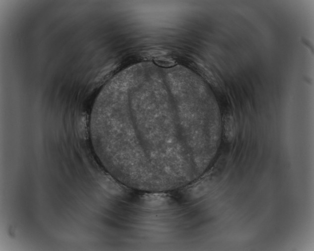 X0000091200378200709061418