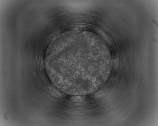 X0000091200381200709061418
