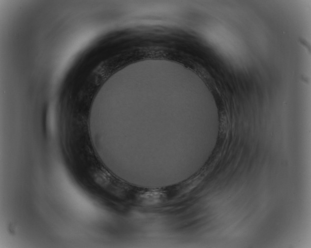 X0000091200383200709061418