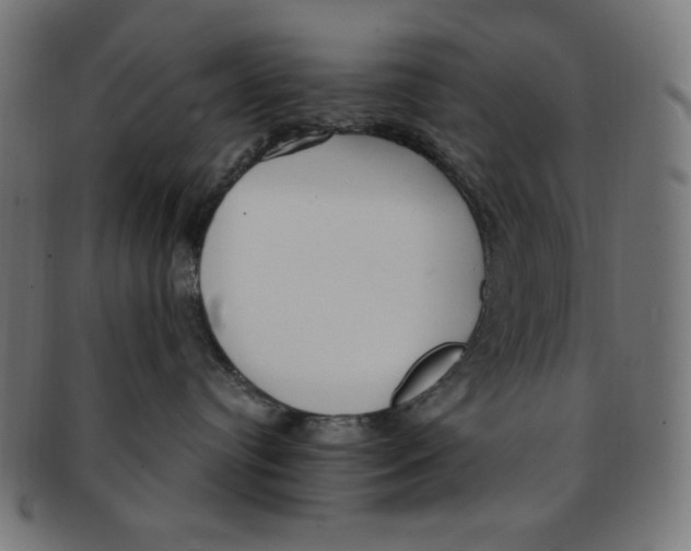 X0000091200384200709061418