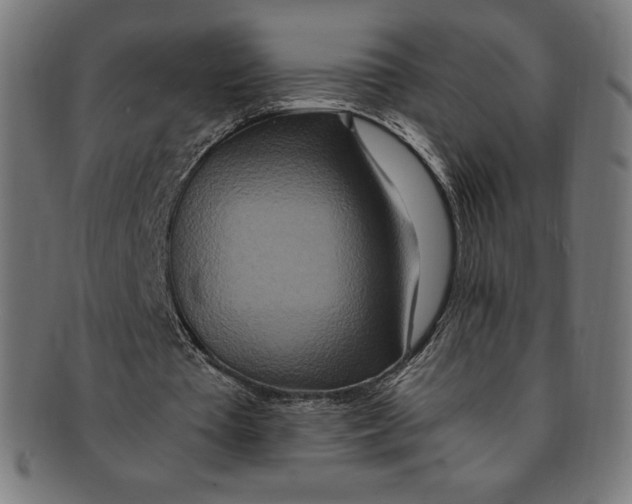 X0000091200385200709061417
