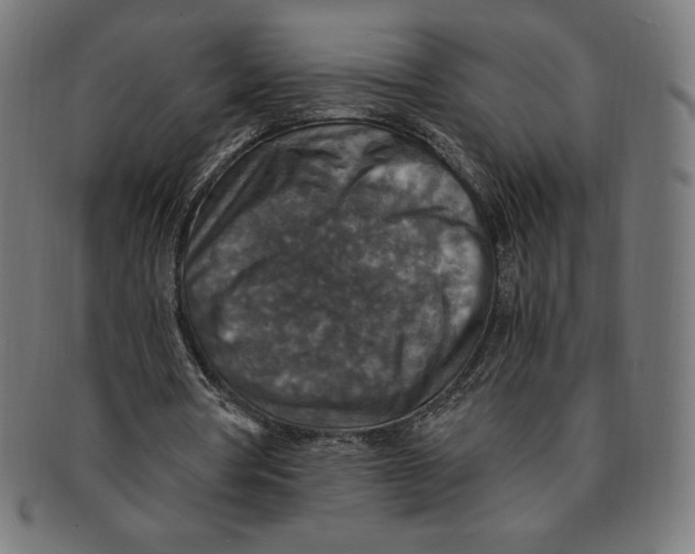 X0000091200386200709061417