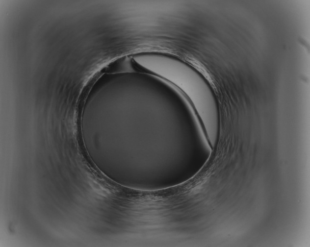 X0000091200387200709061417