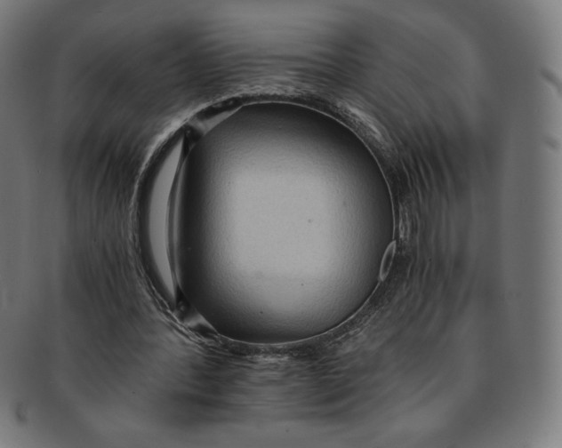 X0000091200388200709061417