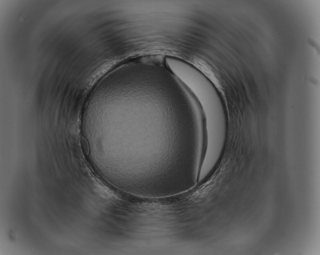 X0000091200389200709061417
