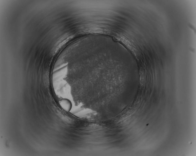 X0000091200390200709061417
