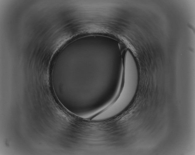 X0000091200391200709061417