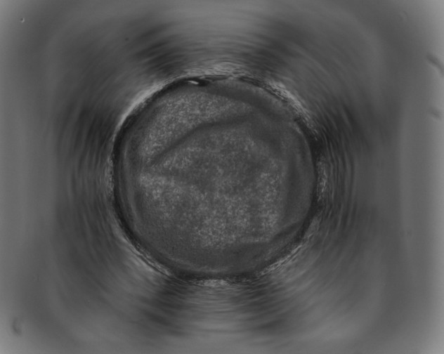 X0000091200392200709061417