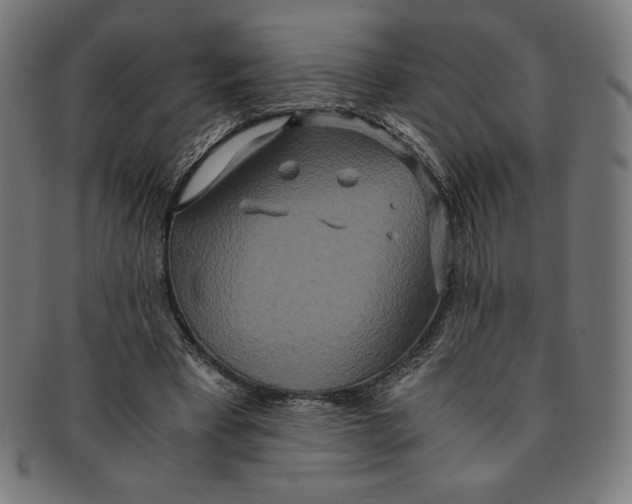 X0000091200393200709061417