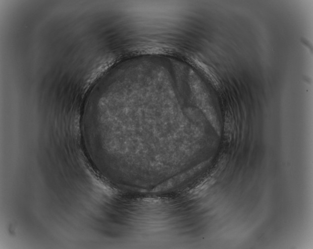 X0000091200394200709061417