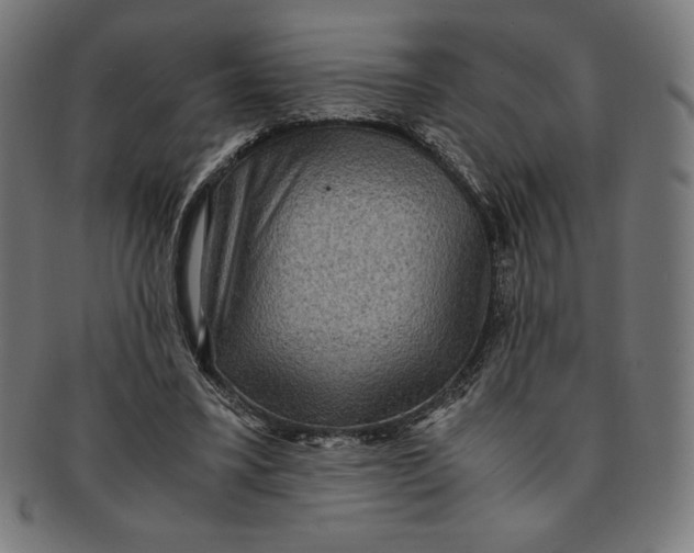 X0000091200395200709061417