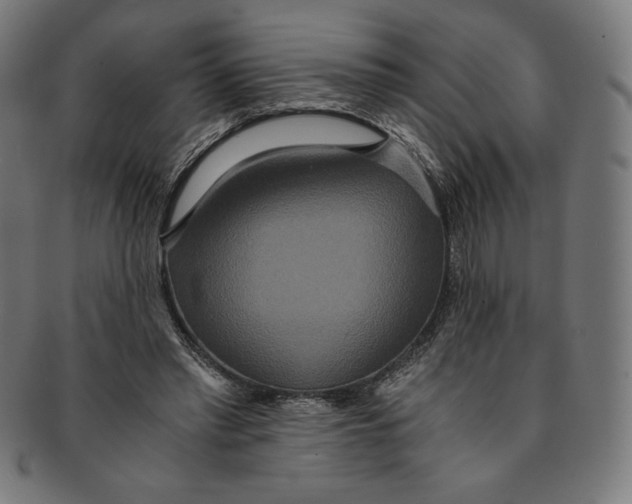 X0000091200397200709061417