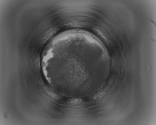 X0000091200398200709061417