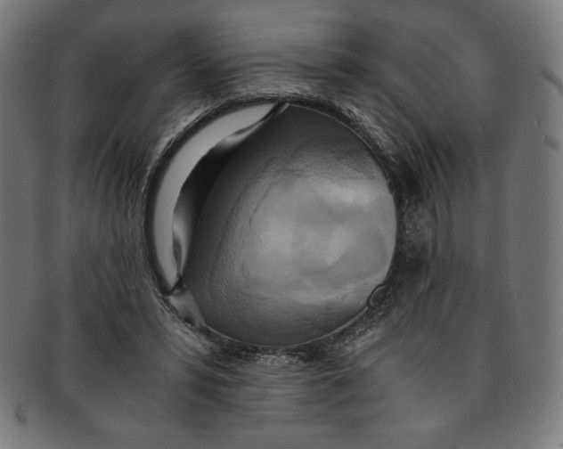 X0000091200399200709061417