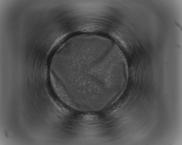 X0000091200400200709061417