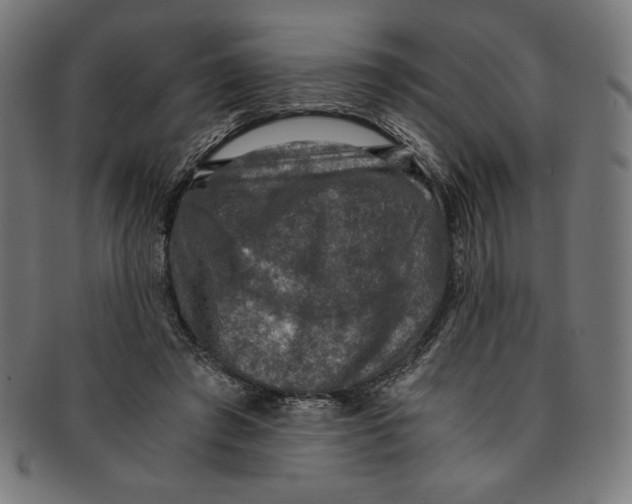 X0000091200401200709061417