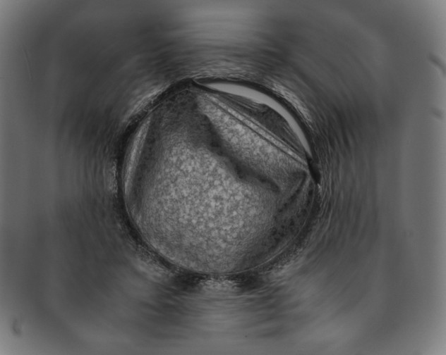 X0000091200403200709061417