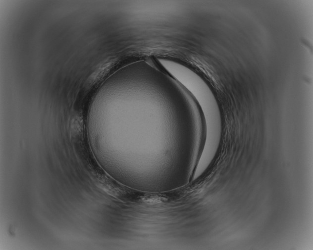 X0000091200407200709061417
