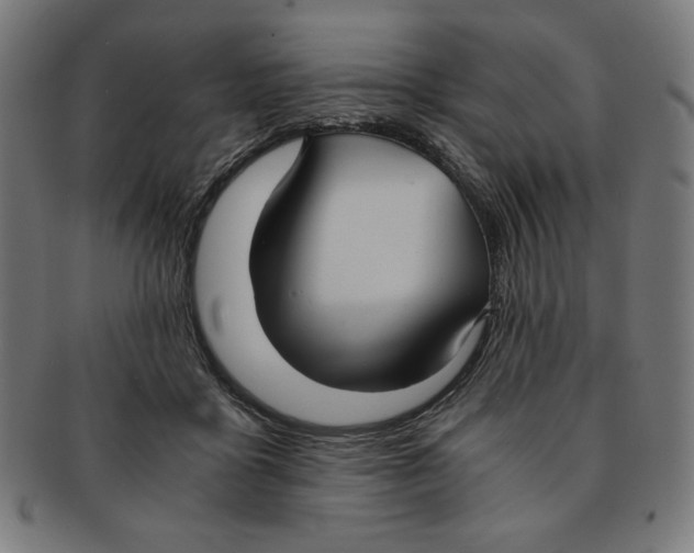 X0000091200411200709061417