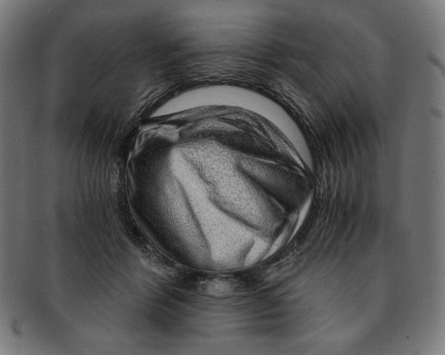 X0000091200412200709061417