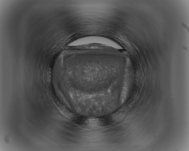 X0000091200413200709061417
