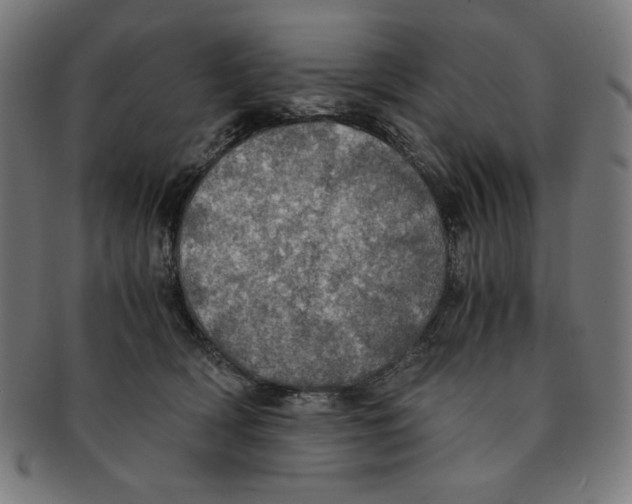 X0000091200418200709061417