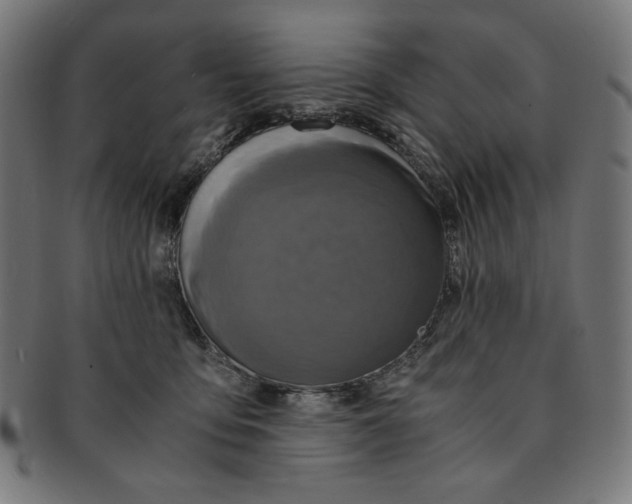 X0000091200419200709061417