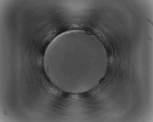 X0000091200423200709061417