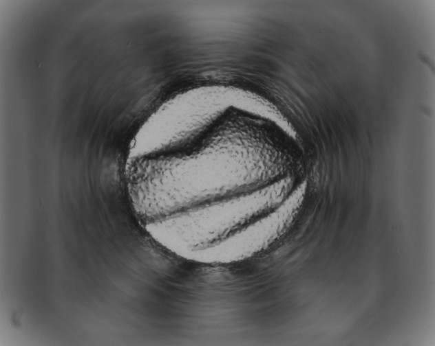 X0000091200424200709061417