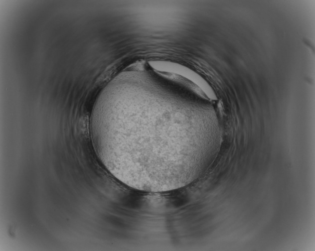 X0000091200425200709061417