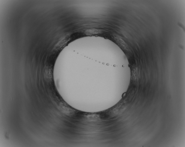 X0000091200426200709061417