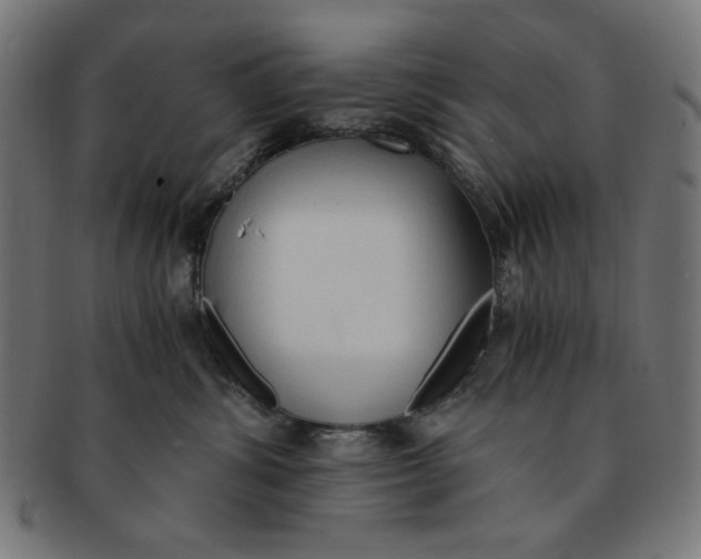 X0000091200428200709061417