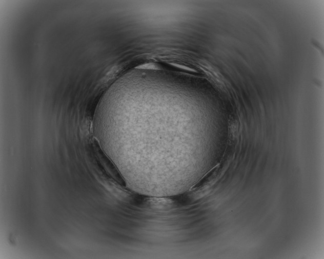 X0000091200429200709061417