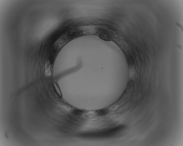 X0000091200431200709061417
