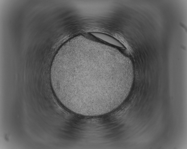 X0000091200433200709061416