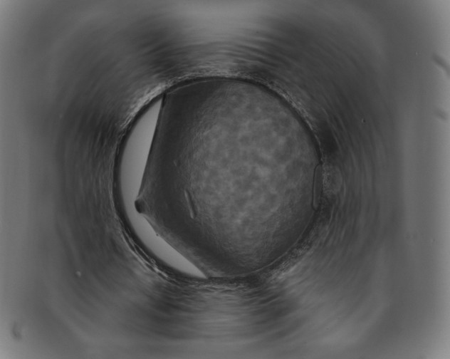 X0000091200434200709061416