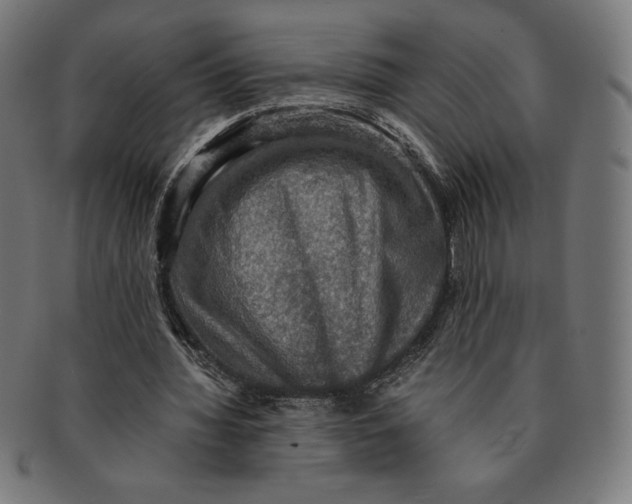 X0000091200436200709061416