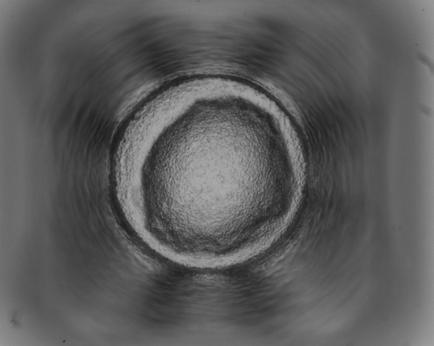 X0000091200437200709061416