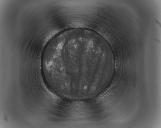 X0000091200438200709061416