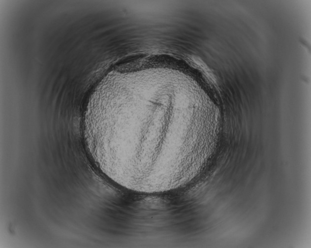X0000091200441200709061416