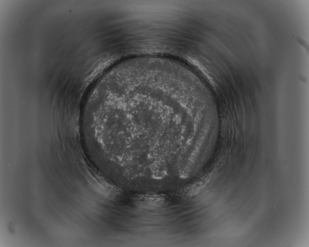 X0000091200443200709061416
