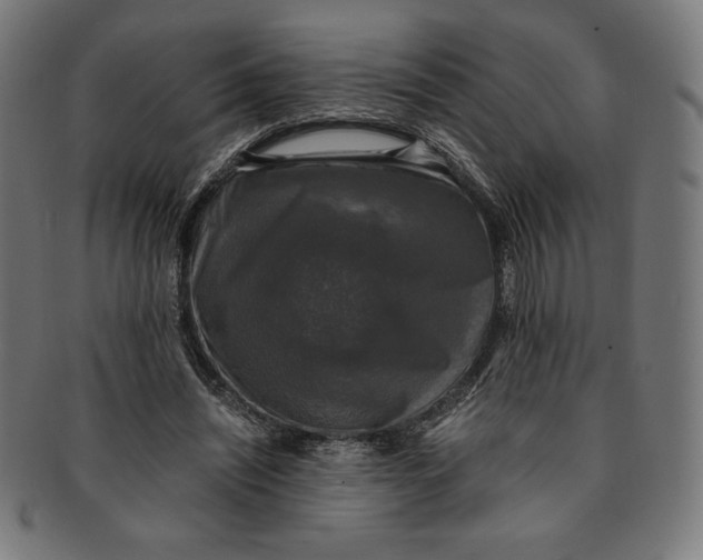 X0000091200444200709061416