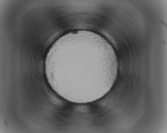 X0000091200445200709061416
