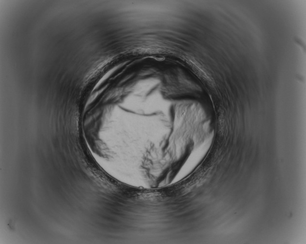 X0000091200446200709061416