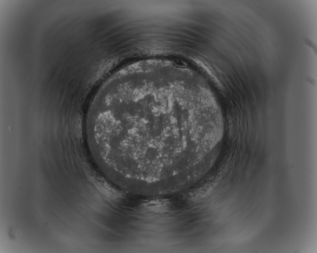 X0000091200447200709061416