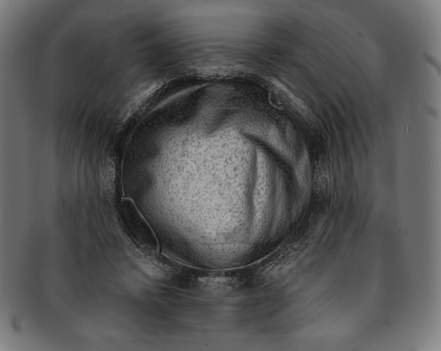 X0000091200448200709061416