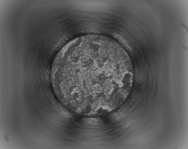 X0000091200449200709061416